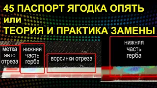 45 ПАСПОРТ ЯГОДКА ОПЯТЬ или ТЕОРИЯ И ПРАКТИКА ЗАМЕНЫ 2021.05.20 Сургут