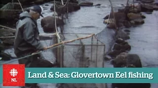 Land & Sea - Eel Fishing near Glovertown - Full Episide