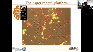 Lake Como School (Machine Learning Photonics, 15-19 March 2021 Lorenzo Pavesi (1)