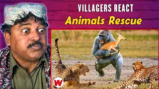 Villagers React To ANIMALS RESCUE OTHER ANIMALS: Tribal First Time Reaction