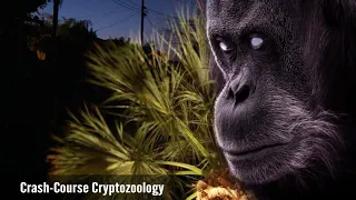 Is The Myakka Skunk Ape A Hoax?