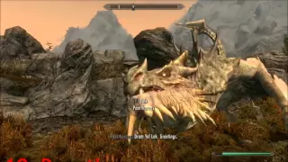 ALL Dragon Races - Skyrim