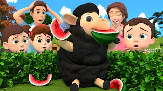 Baa Baa Black Sheep Song + More Nursery Rhymes & Kids Songs - Lalafun