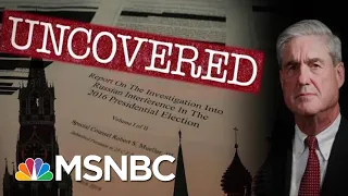 Uncovered: What The Mueller Report Tells Us About Trump And Dangled Pardons | The 11th Hour | MSNBC