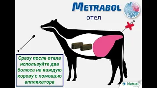 Metrabol - болюс для воспроизводства