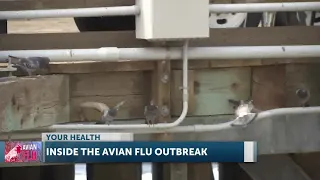 Avian flu outbreak prompts response from local health agencies and animal services