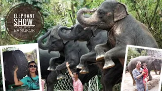 Elephant Show Safari World Bangkok