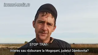 Stop transhumanță! Interes sau răzbunare la Mogoșani, județul Dâmbovița?