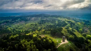 Surrey Hills - The Lark Ascending