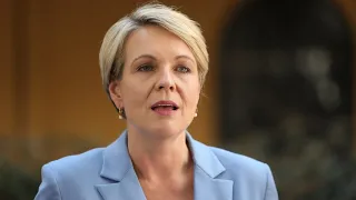 ‘Environment laws not working for anyone’: Plibersek