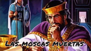 LAS MOSCAS MUERTAS Y LAS ACCIONES. Eclesiastés 10:1 Jonathan Otaño