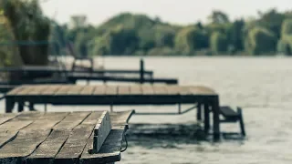 TRAILER - Carp Fishing on the Backwater of the River Danube with Zoltán Kovács