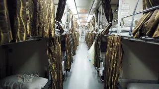 Inside Tour of Malaysia's Sleeper Train to Kelantan! [ KTM Ekspres Rakyat ]