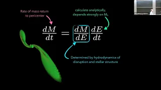 Exploring galactic nuclei with tidal disruption events - Brenna Mockler