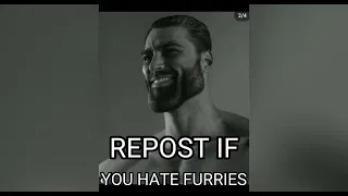 Anti-Furry Memes 3
