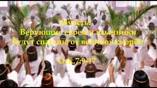 14часть. Верующие евреи и язычники будут спасены от великой скорби.Отк.7:9-17 (Для глухих)