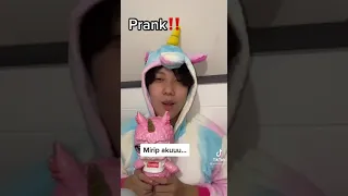 tiktok vilmei || mari kita prank willie #shorts