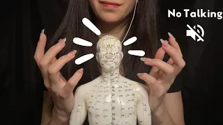 Fast & Aggressive Acupuncture doll tapping ASMR (tapping, scratching, gripping)