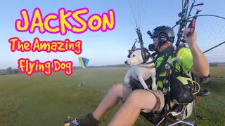 Dog Flies on Paramotor! The Amazing Jackson LOVES to fly with me on my paramotor