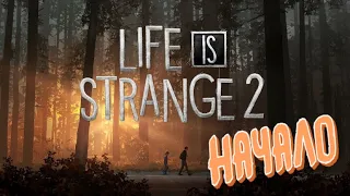 Ну что ж, начнем - Прохождение Life is Strange 2 #1