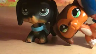 Lps Hideaway  MV