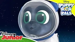 🌙 Puppies on the Moon! | Puppy Dog Pals | Disney Channel Africa