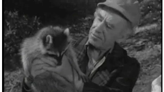 Lassie - Episode #213 - "The Chase" - Season 6 Ep. 31 - 04/10/1960