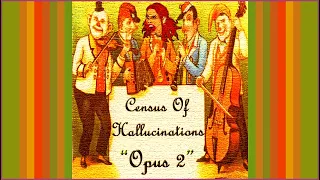 Census Of Hallucinations - Opus 2. 2023. Progressive Rock. Psychedelic Rock. Full Album