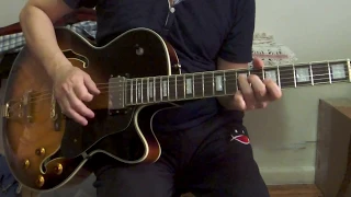 Hofner HS40VS Semi-Hollowbody Electric Guitar Sound Check & DEMO