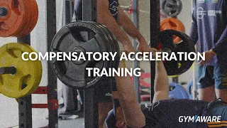 Compensatory Acceleration Training (CAT)