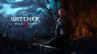 The Witcher 3  Wild Hunt EXTENDED OST -  The Fields of Ard Skellig