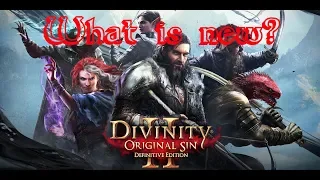 What's new in the Definitive Edition of Divinity: Original Sin 2?