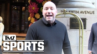 Dana White Says Mayweather vs. McGregor is 'Probably Going to Happen' | TMZ Sports