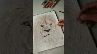 Lion drawing 🦁 #shorts #ytshorts #drawing #ashortaday #viral #trending #creative