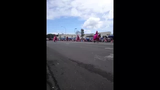 Merrie Monarch Parade 2015-Maui Pa'u Unit