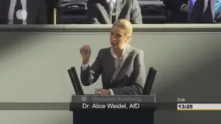 SCHARFE KRITIK: Alice Weidel fordert Rechte von der EU zurück