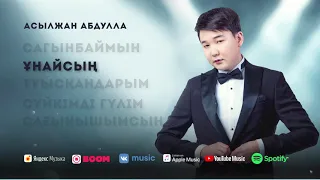 Лучшие песни Асылжан Абдулла | "Сагынбаймын " Альбом 2021