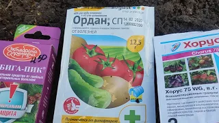 Розы!!! Обрабатываю розы🌹 после зимы.Пора ли снимать зимние  укрытия 🌹