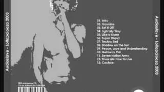 Audioslave ~ Techno Ted (Lollapalooza 2003)