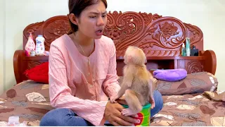 Baby monkey Miker wants to open milk can by himself