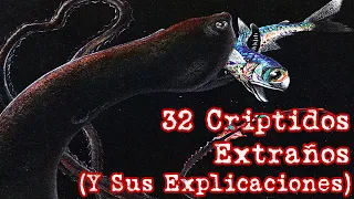 Dos Horas de Criptidos - 32 Criptidos Extraños y Sus Explicaciones (Recopilación)