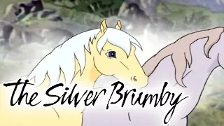 The Silver Brumby - Getting Together (HD - Full Episode) | Cartoons For Kids