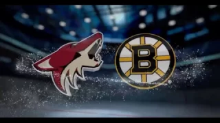 ARIZONA COYOTES vs BOSTON BRUINS (Feb 28)