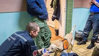 Спасательный отряд добровольцев СпасРезерв в Москве