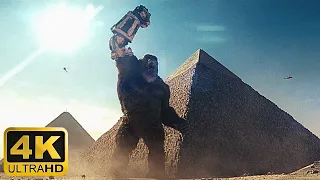 Godzilla fights Kong in Egypt - 4K Scene (1/2) - Godzilla x Kong: The New Empire