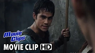 THE MAZE RUNNER 'Mystery' Official Movie Clip (2014) HD