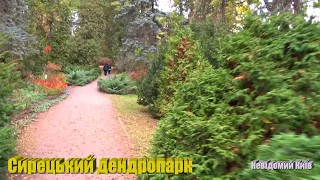 Syretsk Arboretum. Unexplored Kyiv