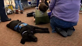 Alex and Gus- An Autistic Boy and His Service Dog