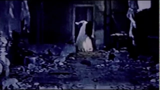 Sadako vs. Kayako After Credits Scene [Cursed Tape]「貞子vs伽椰子」