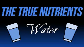 The True Nutrients - Water